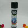 Master FRESH Горный воздух СВЕЖЕСТЬ И АРОМАТ ФОРМУЛА 2 в 1 300мл